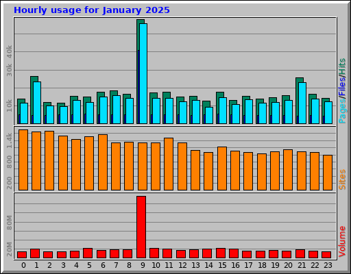 Hourly usage for January 2025 Hourly usage for January 2025