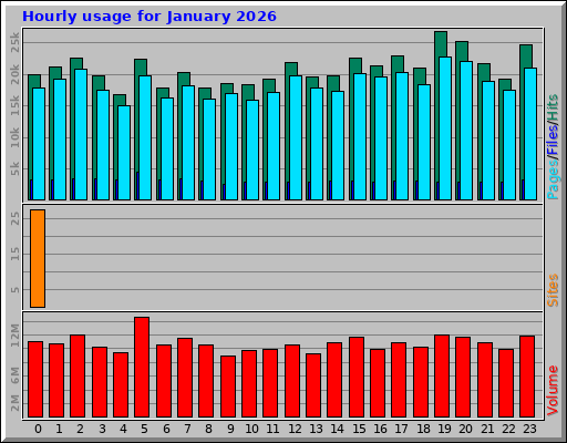 Hourly usage for January 2026 Hourly usage for January 2026